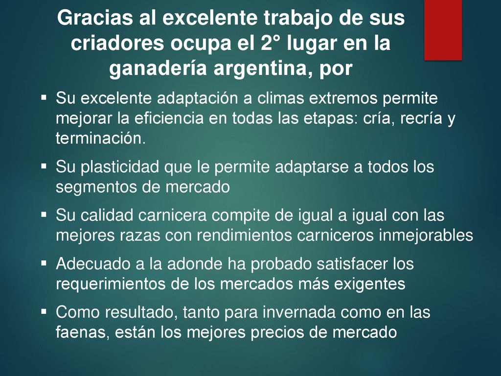 Gracias al excelente trabajo de sus criadores ocupa el 2° lugar en la ganadería argentina, por