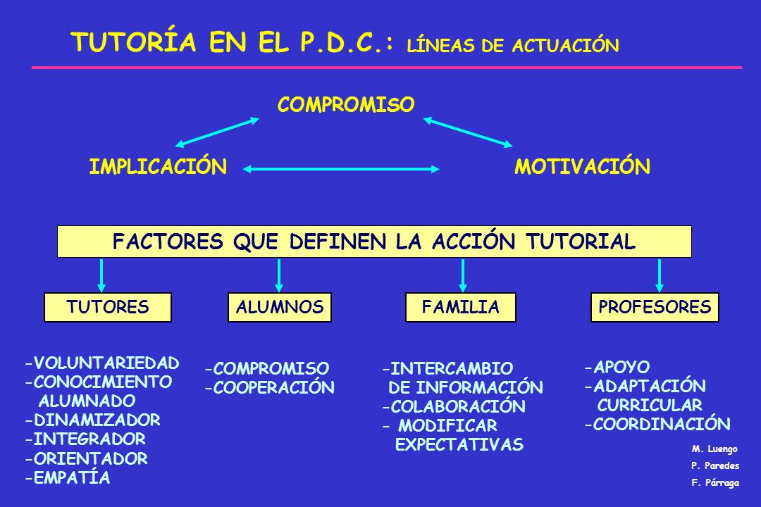 TUTORÍA EN EL P.D.C.: LÍNEAS DE ACTUACIÓN