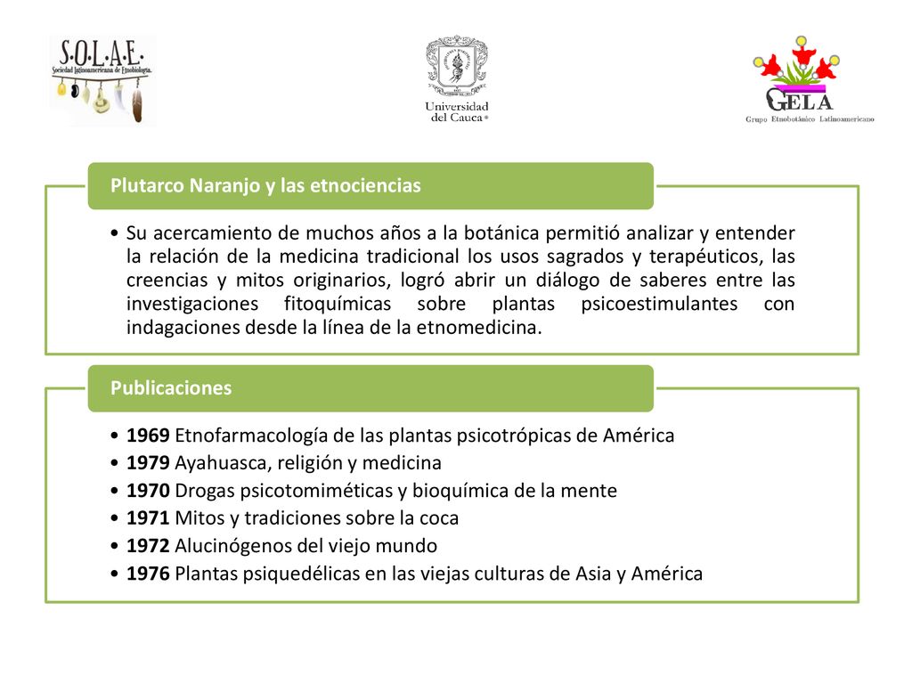 Su acercamiento de muchos años a la botánica permitió analizar y entender la relación de la medicina tradicional los usos sagrados y terapéuticos, las creencias y mitos originarios, logró abrir un diálogo de saberes entre las investigaciones fitoquímicas sobre plantas psicoestimulantes con indagaciones desde la línea de la etnomedicina.