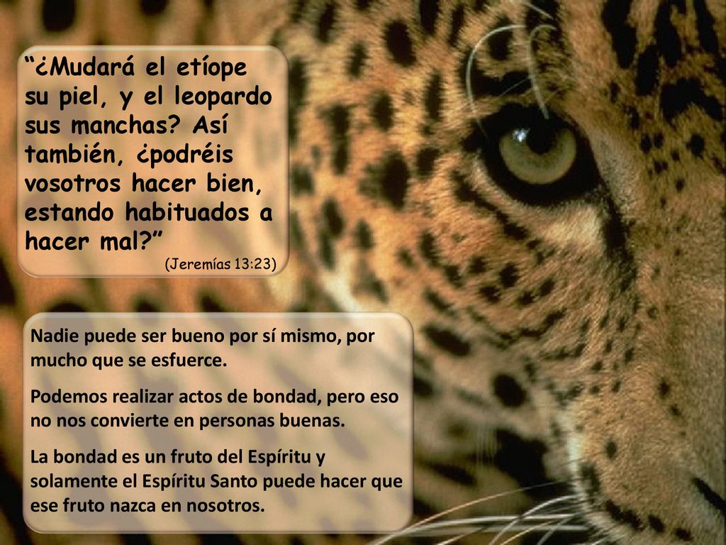 ¿Mudará el etíope su piel, y el leopardo sus manchas