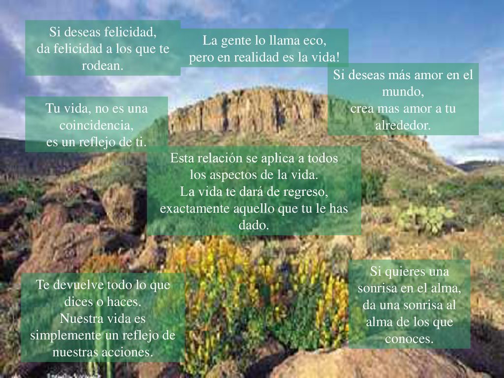 Si deseas felicidad, da felicidad a los que te rodean.