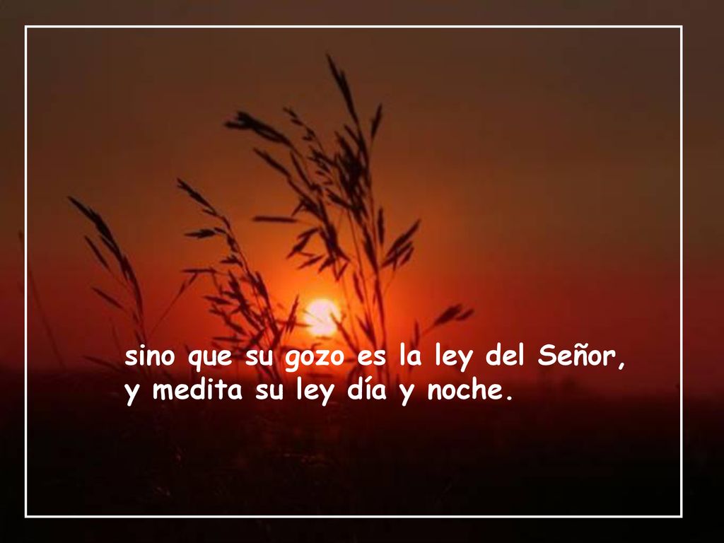sino que su gozo es la ley del Señor,