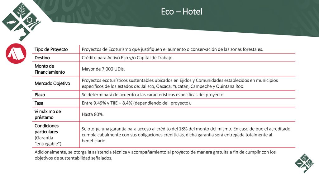 Eco – Hotel Tipo de Proyecto