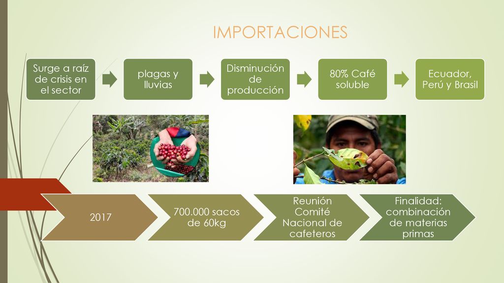 IMPORTACIONES Surge a raíz de crisis en el sector plagas y lluvias