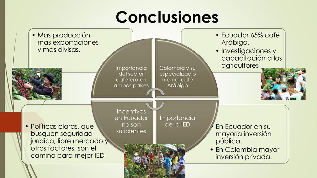 Conclusiones En Ecuador en su mayoría inversión pública.