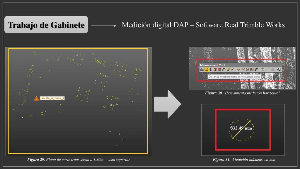 Trabajo de Gabinete Medición digital DAP – Software Real Trimble Works
