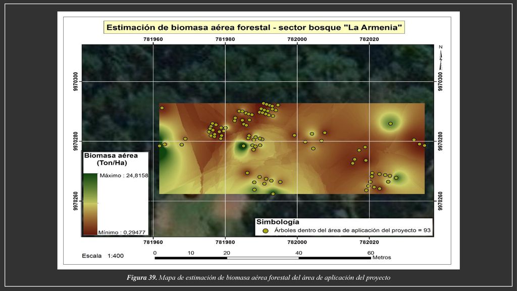Figura 39. Mapa de estimación de biomasa aérea forestal del área de aplicación del proyecto