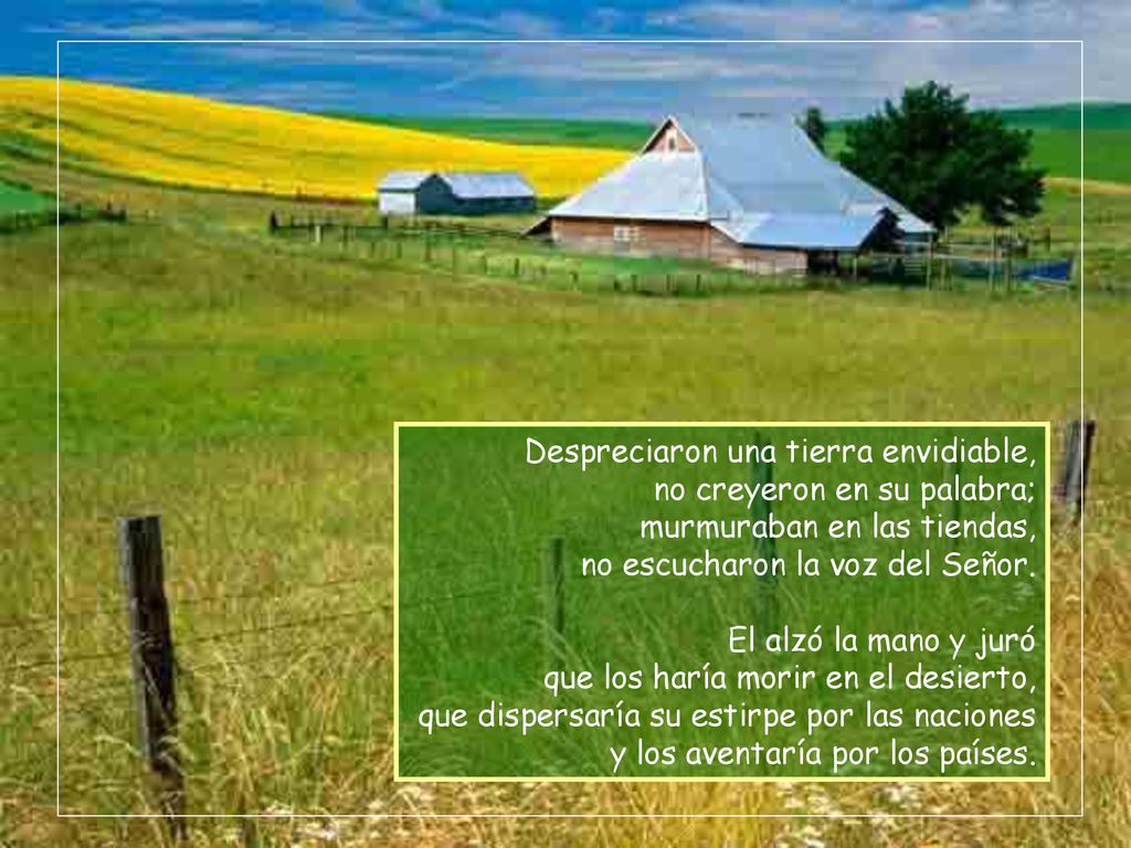 Despreciaron una tierra envidiable, no creyeron en su palabra; murmuraban en las tiendas, no escucharon la voz del Señor.