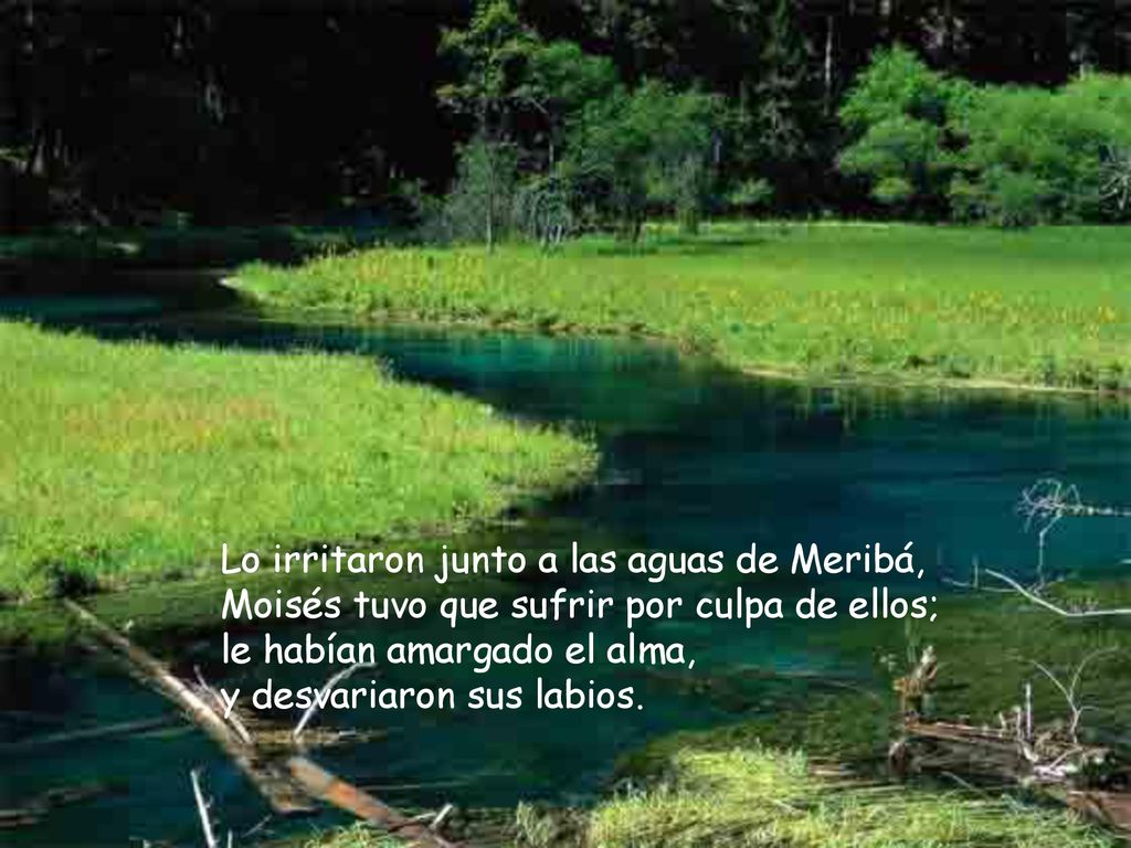 Lo irritaron junto a las aguas de Meribá, Moisés tuvo que sufrir por culpa de ellos; le habían amargado el alma, y desvariaron sus labios.