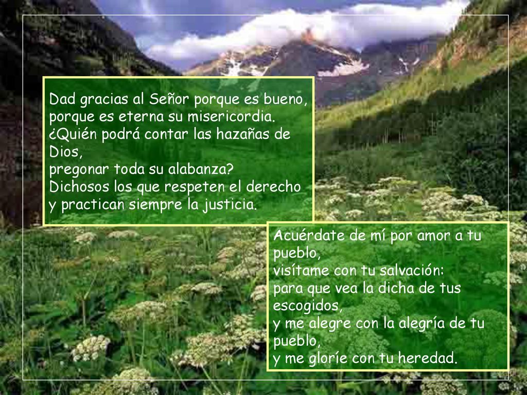 Dad gracias al Señor porque es bueno, porque es eterna su misericordia