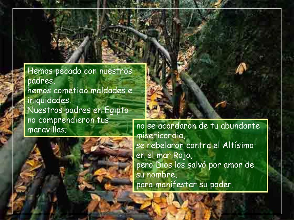 Hemos pecado con nuestros padres, hemos cometido maldades e iniquidades. Nuestros padres en Egipto no comprendieron tus maravillas;