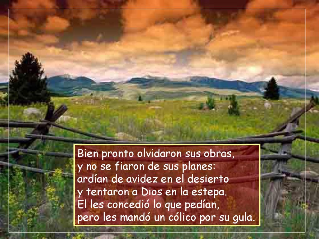 Bien pronto olvidaron sus obras, y no se fiaron de sus planes: ardían de avidez en el desierto y tentaron a Dios en la estepa.