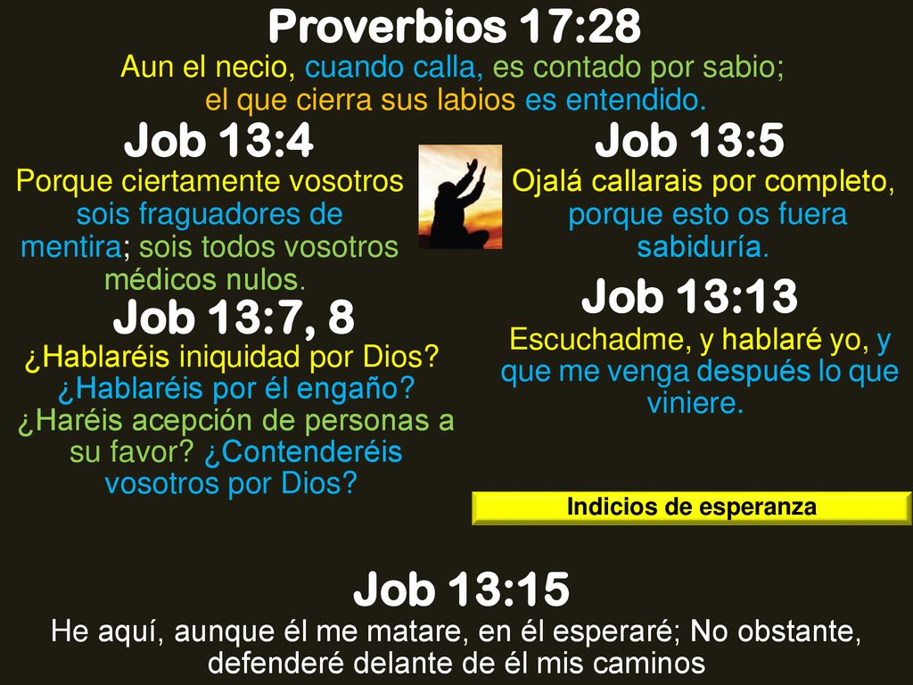 Proverbios 17:28 Job 13:4 Job 13:5 Job 13:13 Job 13:7, 8 Job 13:15