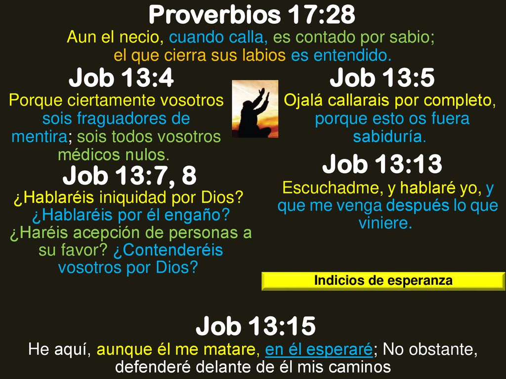 Proverbios 17:28 Job 13:4 Job 13:5 Job 13:13 Job 13:7, 8 Job 13:15