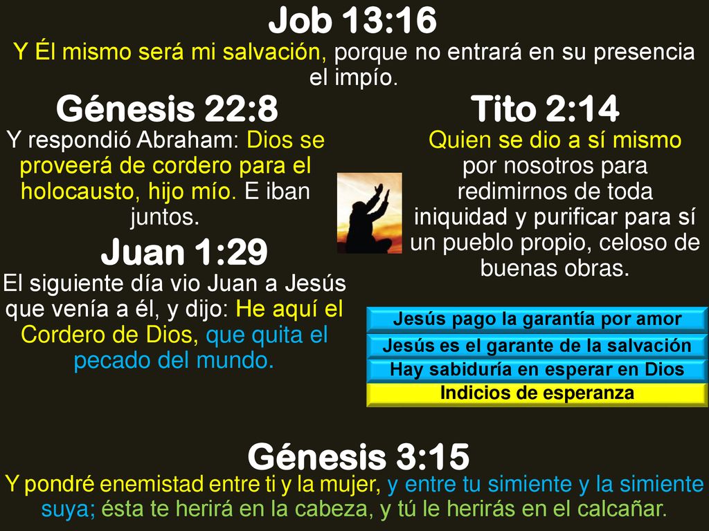 Job 13:16 Génesis 22:8 Tito 2:14 Juan 1:29 Génesis 3:15