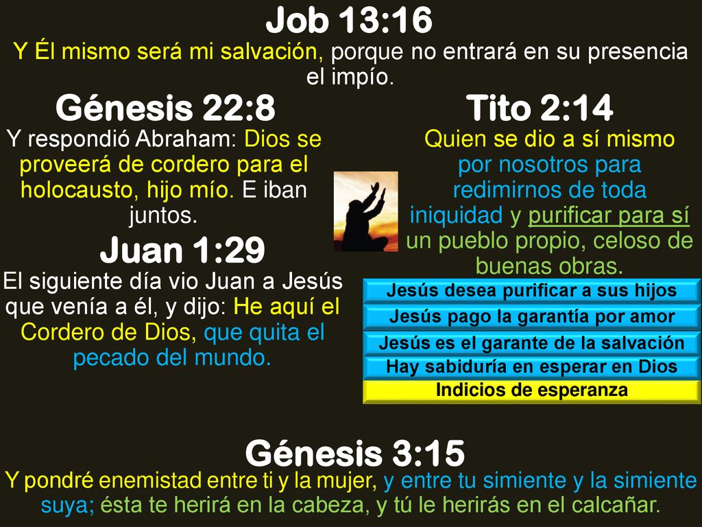 Job 13:16 Génesis 22:8 Tito 2:14 Juan 1:29 Génesis 3:15
