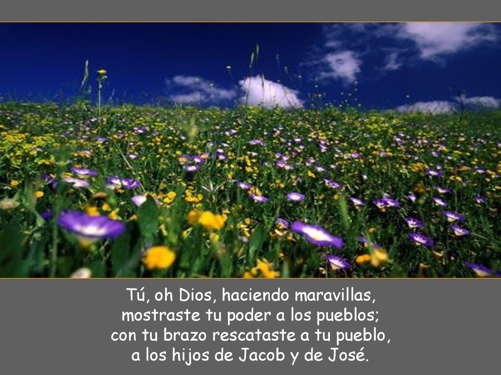 Tú, oh Dios, haciendo maravillas, mostraste tu poder a los pueblos;