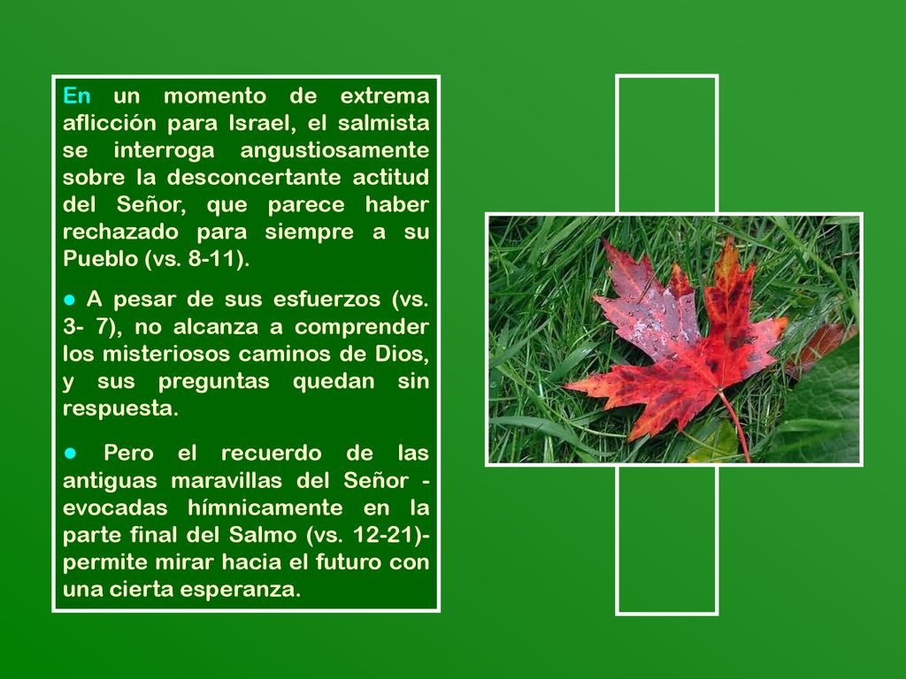 En un momento de extrema aflicción para Israel, el salmista se interroga angustiosamente sobre la desconcertante actitud del Señor, que parece haber rechazado para siempre a su Pueblo (vs. 8-11).