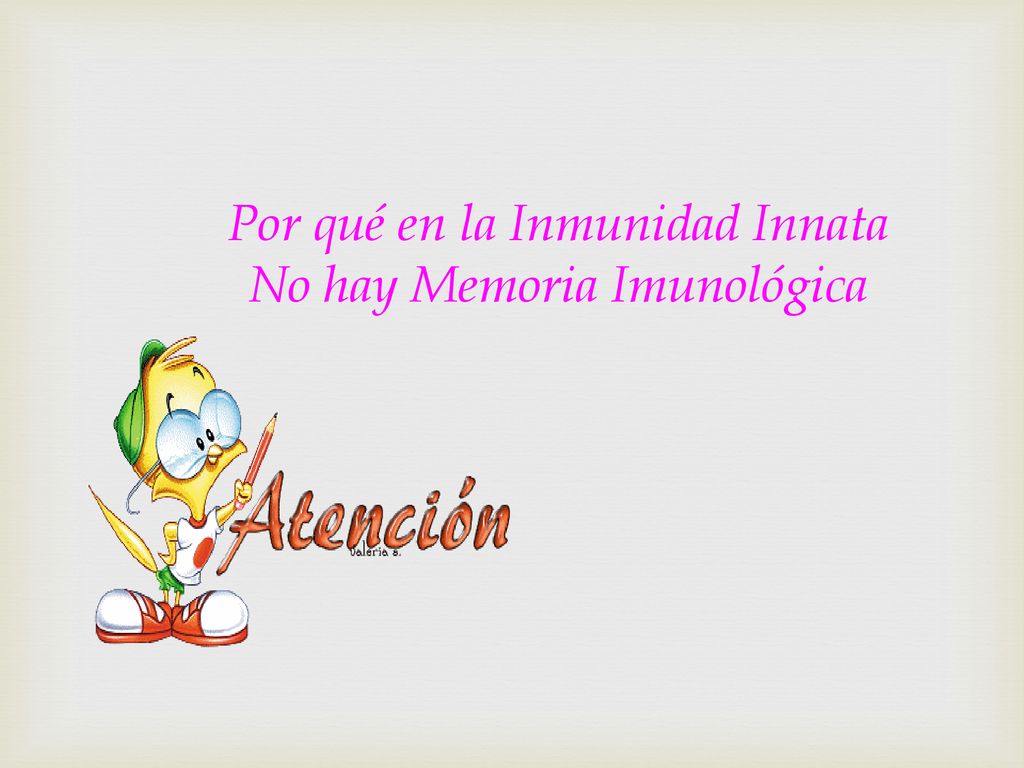Por qué en la Inmunidad Innata No hay Memoria Imunológica
