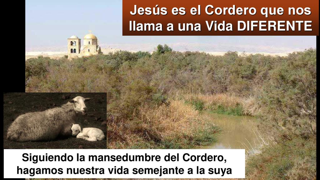 Jesús es el Cordero que nos llama a una Vida DIFERENTE