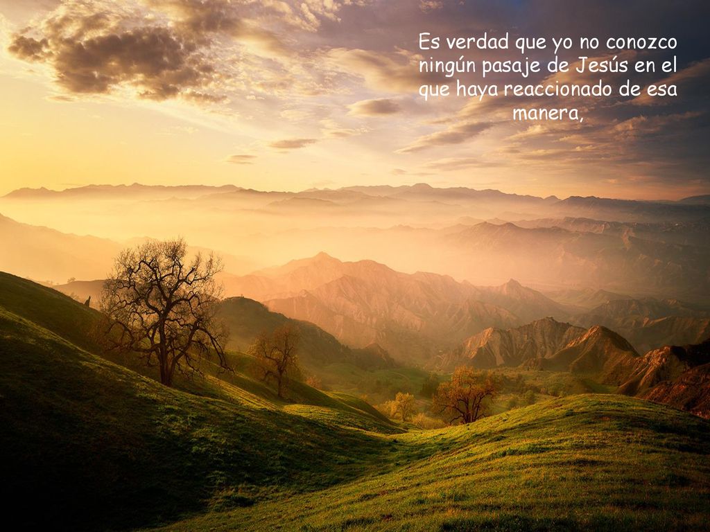 Es verdad que yo no conozco ningún pasaje de Jesús en el que haya reaccionado de esa manera,