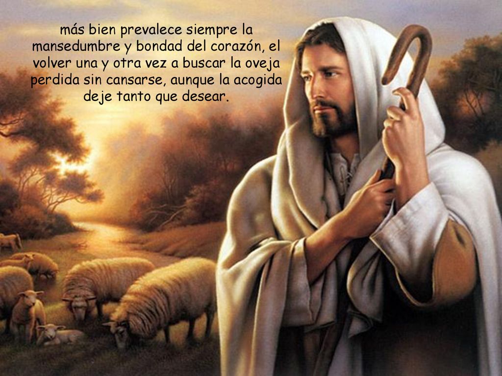 más bien prevalece siempre la mansedumbre y bondad del corazón, el volver una y otra vez a buscar la oveja perdida sin cansarse, aunque la acogida deje tanto que desear.