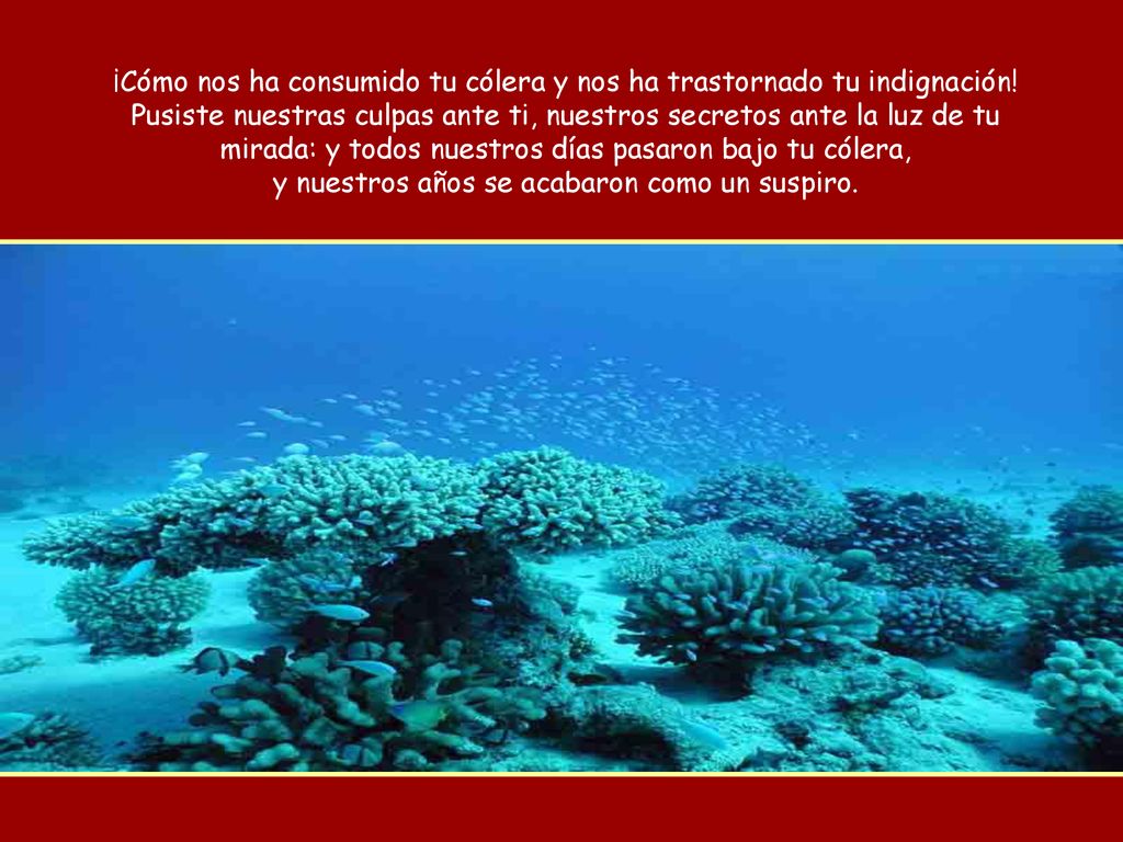 ¡Cómo nos ha consumido tu cólera y nos ha trastornado tu indignación!
