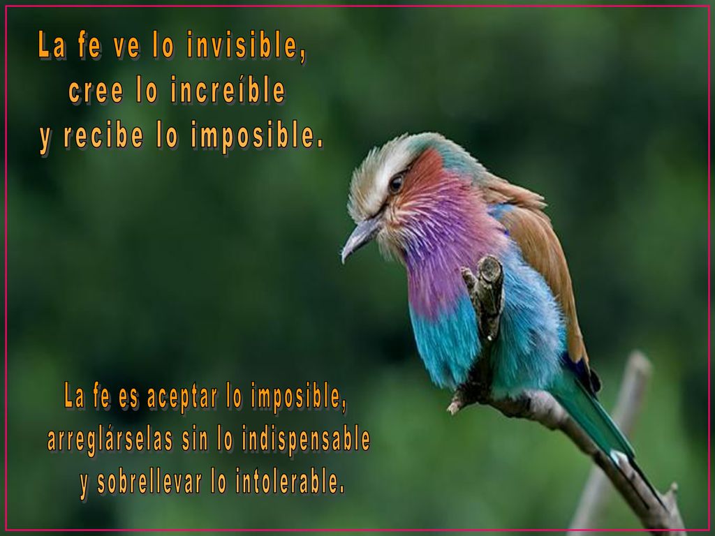 La fe es aceptar lo imposible, arreglárselas sin lo indispensable