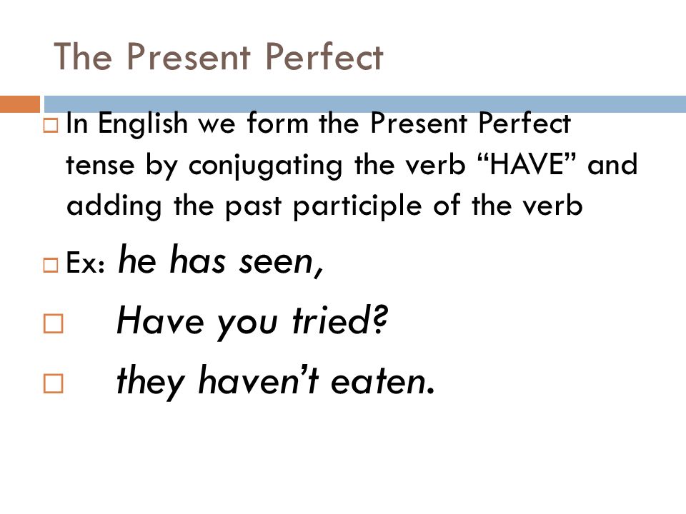 Have you tried they haven’t eaten. The Present Perfect