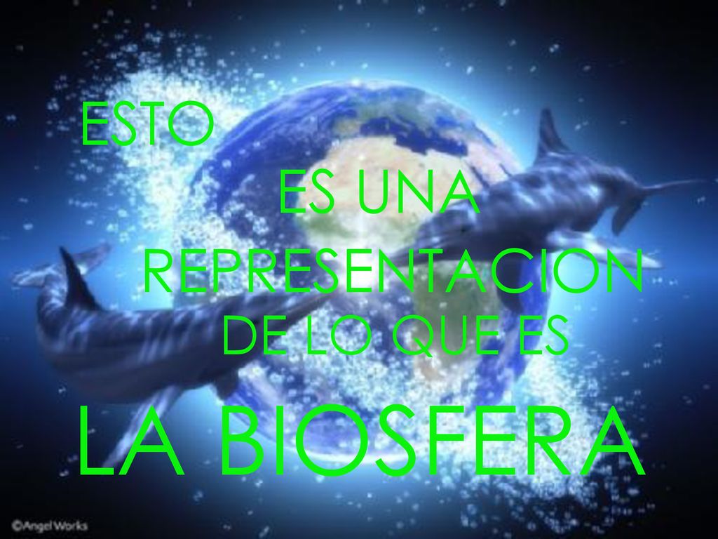 ESTO ES UNA REPRESENTACION DE LO QUE ES LA BIOSFERA