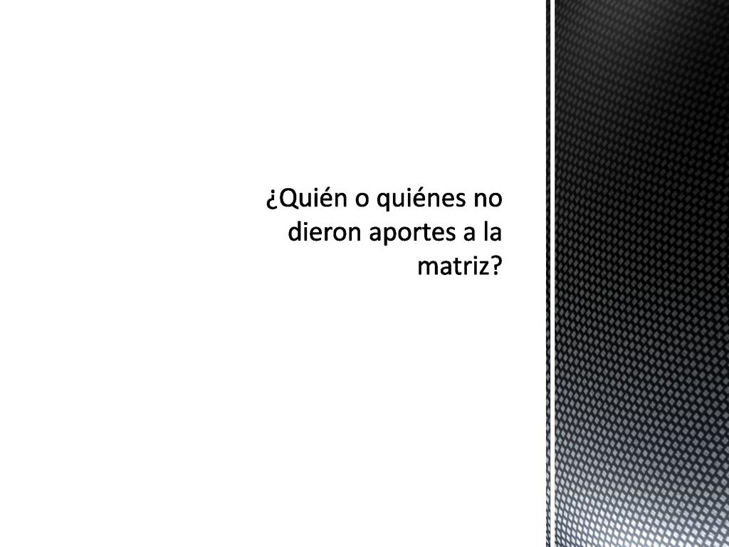 ¿Quién o quiénes no dieron aportes a la matriz