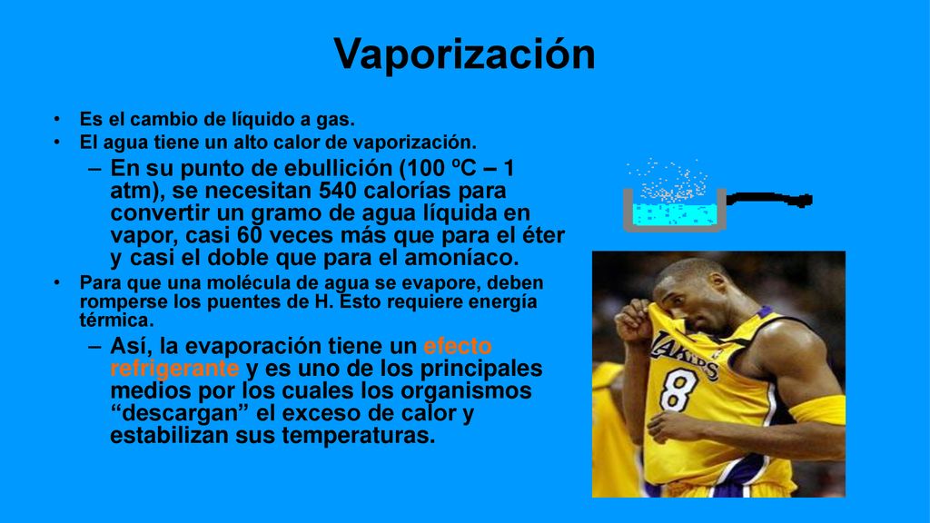 Vaporización Es el cambio de líquido a gas. El agua tiene un alto calor de vaporización.