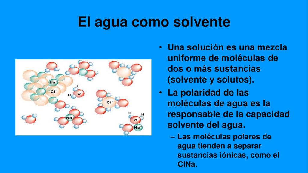 El agua como solvente Una solución es una mezcla uniforme de moléculas de dos o más sustancias (solvente y solutos).