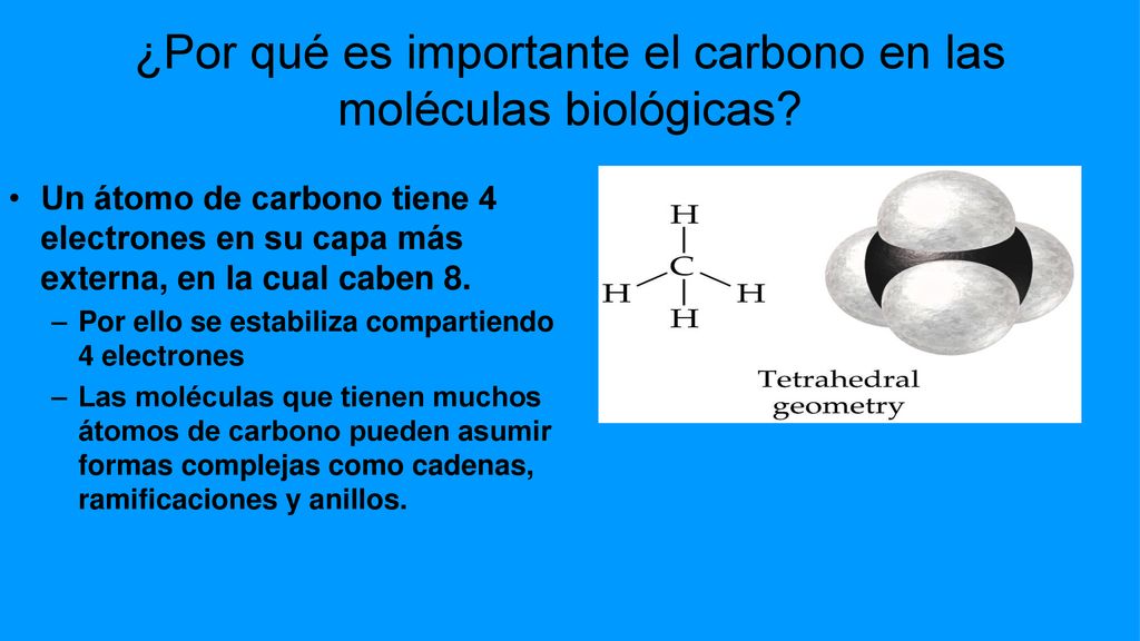 ¿Por qué es importante el carbono en las moléculas biológicas