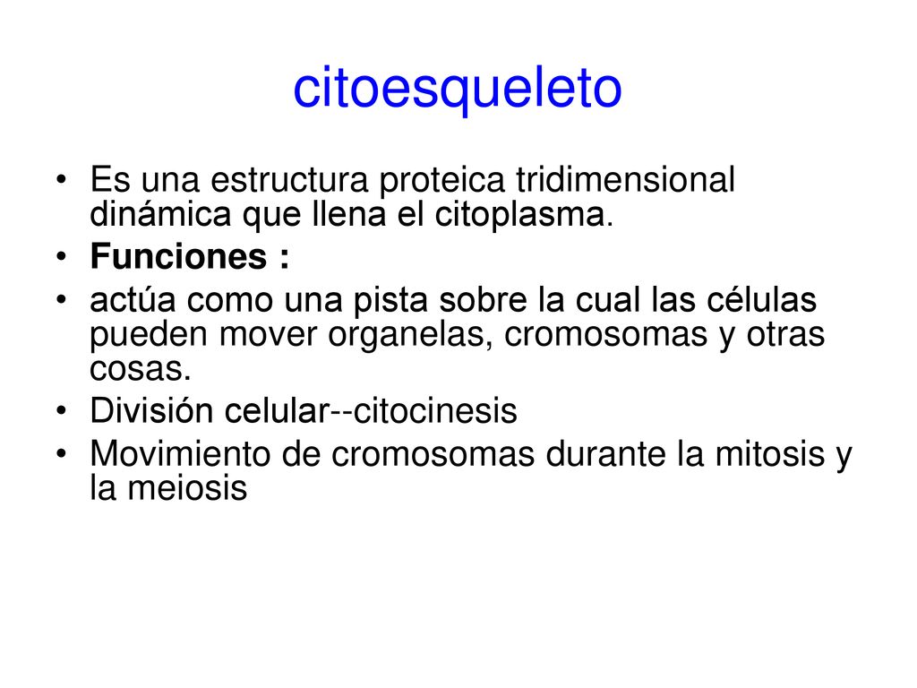 citoesqueleto Es una estructura proteica tridimensional dinámica que llena el citoplasma. Funciones :