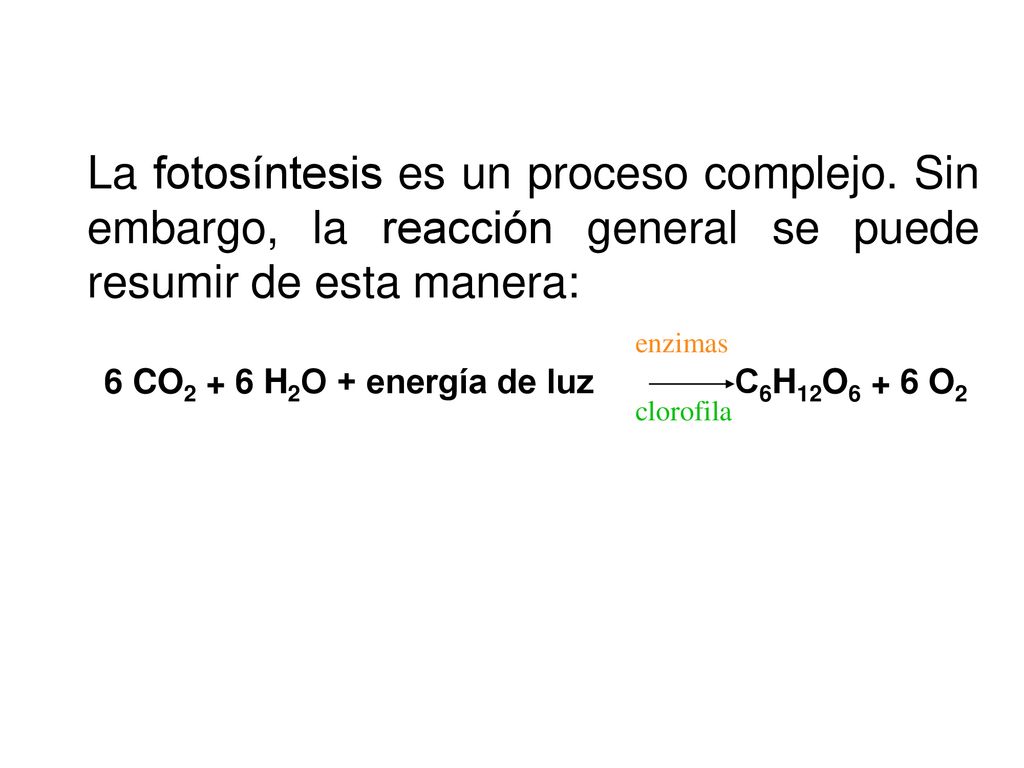 6 CO2 + 6 H2O + energía de luz C6H12O6 + 6 O2