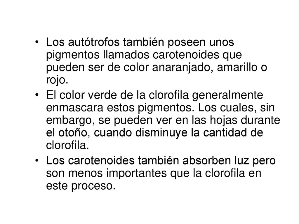Los autótrofos también poseen unos pigmentos llamados carotenoides que pueden ser de color anaranjado, amarillo o rojo.