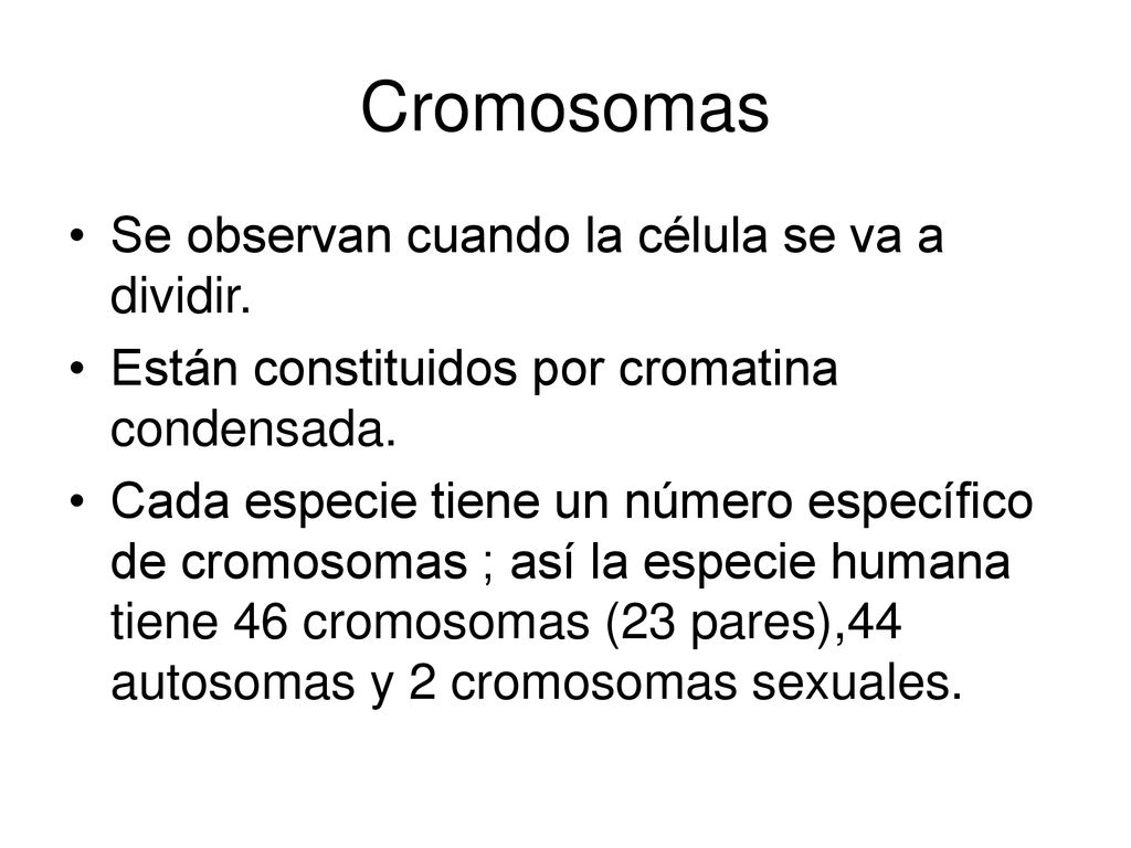Cromosomas Se observan cuando la célula se va a dividir.