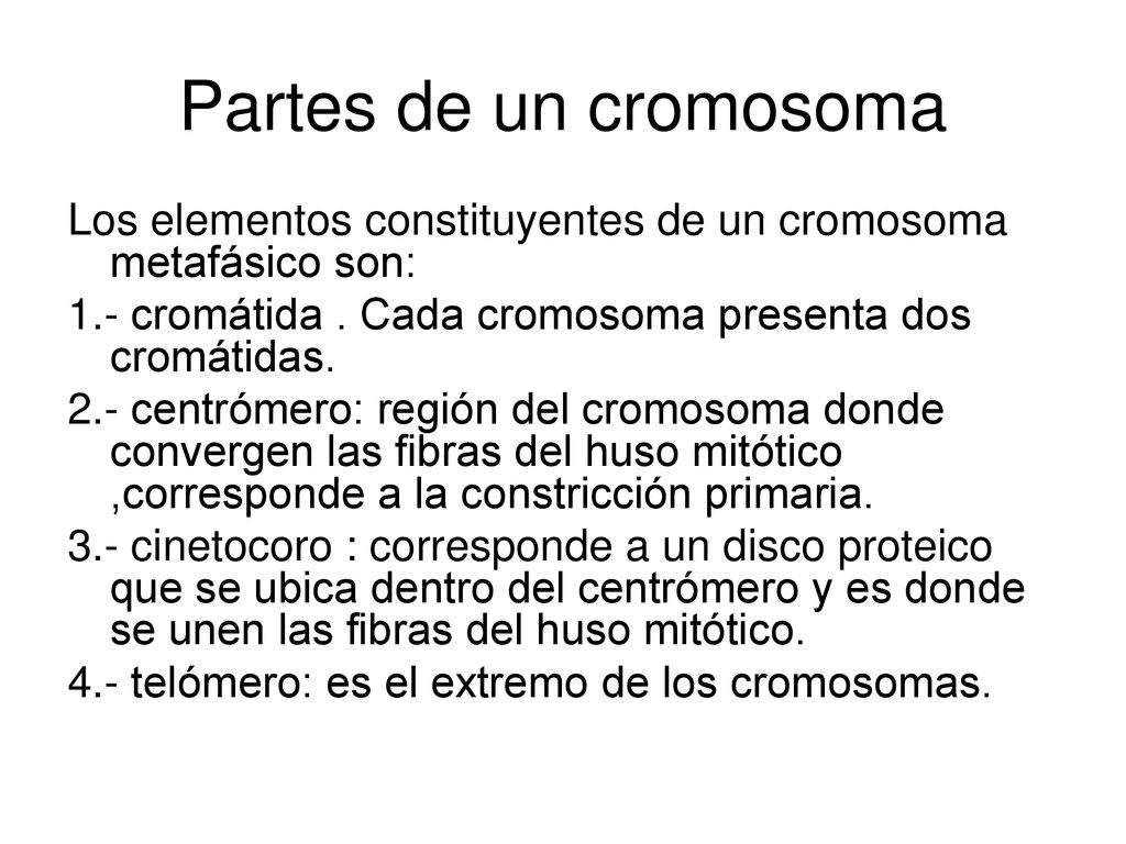 Partes de un cromosoma Los elementos constituyentes de un cromosoma metafásico son: 1.- cromátida . Cada cromosoma presenta dos cromátidas.