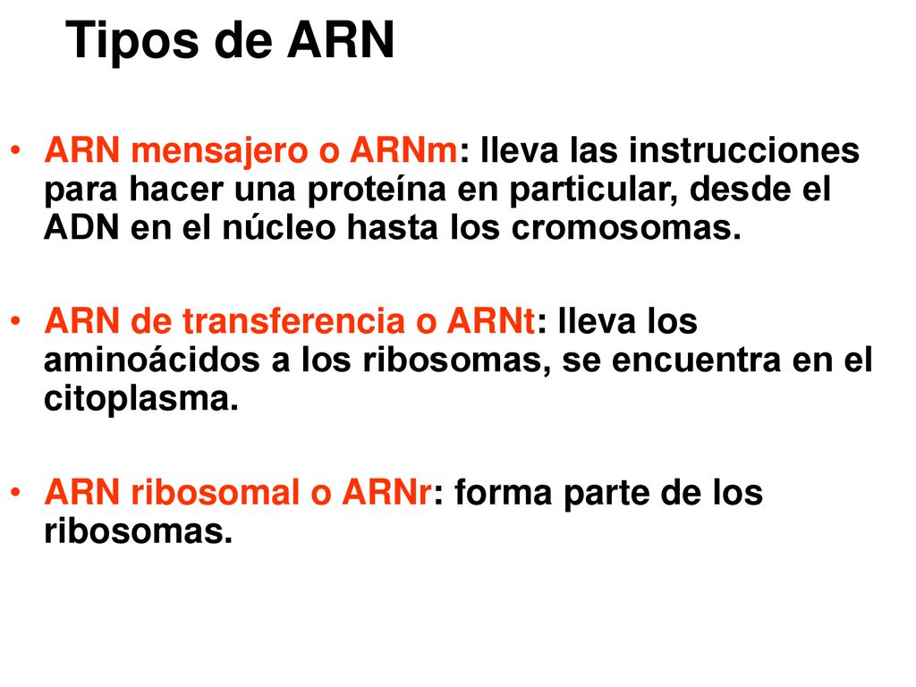 Tipos de ARN ARN mensajero o ARNm: lleva las instrucciones para hacer una proteína en particular, desde el ADN en el núcleo hasta los cromosomas.