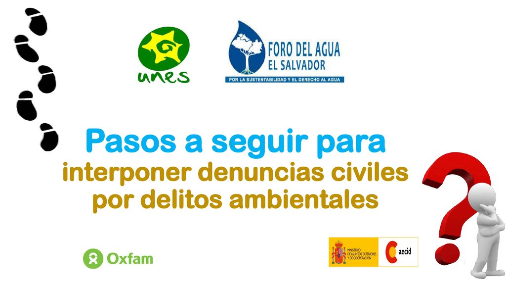 Pasos a seguir para interponer denuncias civiles por delitos ambientales