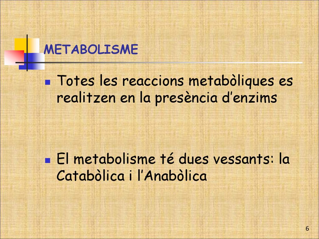 Totes les reaccions metabòliques es realitzen en la presència d’enzims