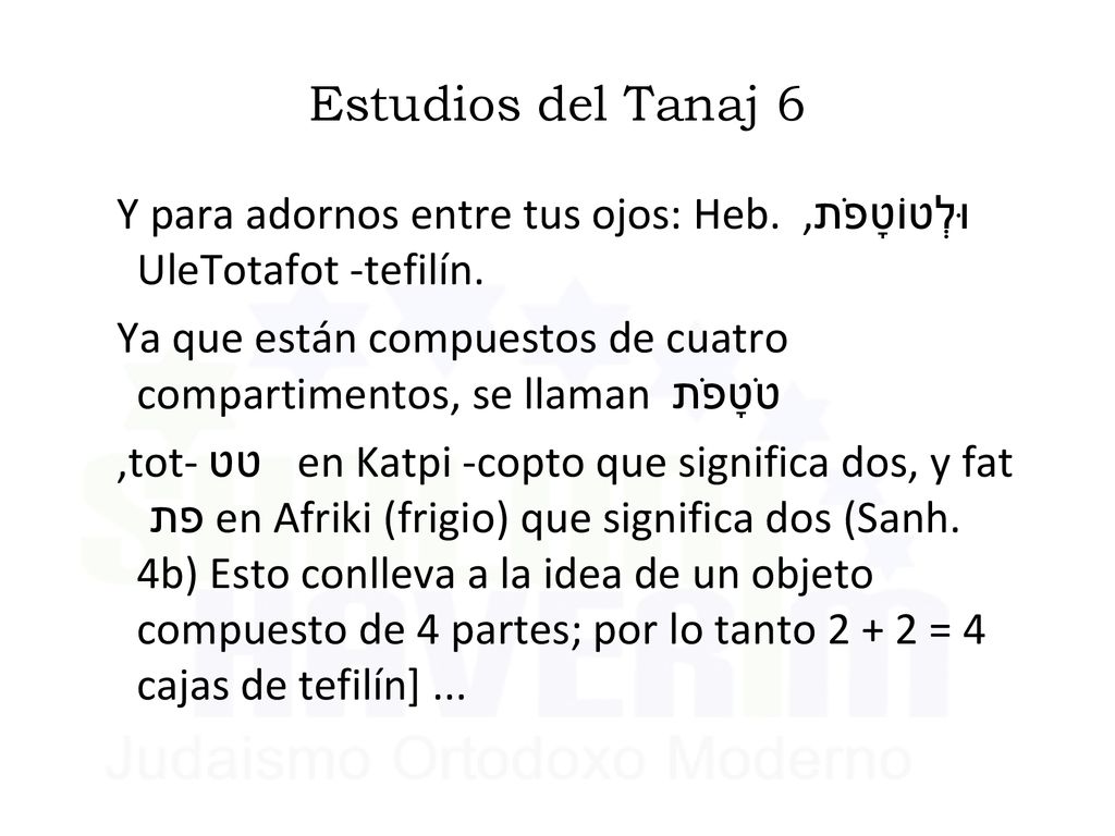 Estudios del Tanaj 6 Y para adornos entre tus ojos: Heb. וּלְטוֹטָפֹת, UleTotafot -tefilín.