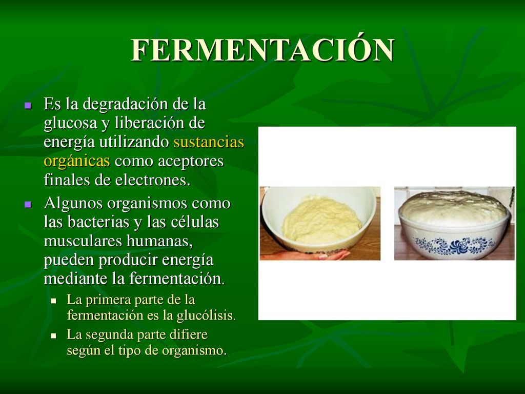 FERMENTACIÓN Es la degradación de la glucosa y liberación de energía utilizando sustancias orgánicas como aceptores finales de electrones.