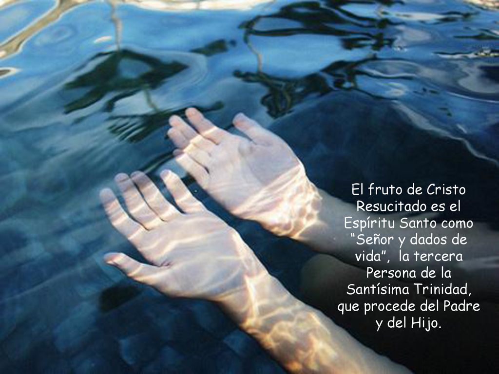 El fruto de Cristo Resucitado es el Espíritu Santo como Señor y dados de vida , la tercera Persona de la Santísima Trinidad, que procede del Padre y del Hijo.