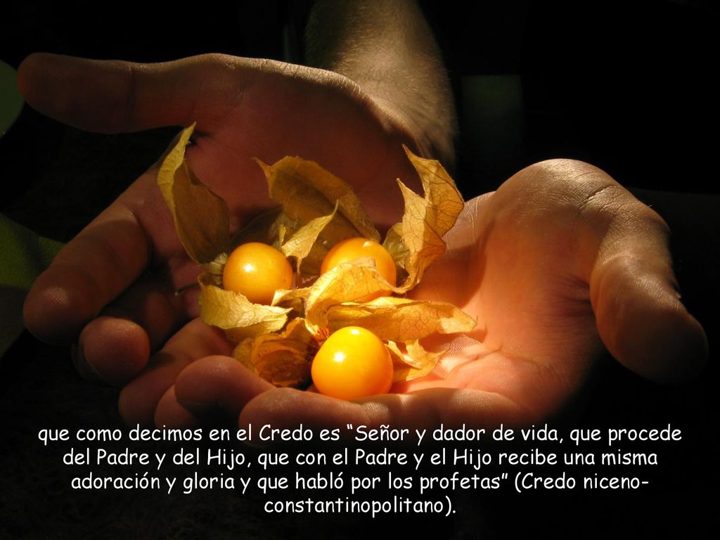que como decimos en el Credo es Señor y dador de vida, que procede del Padre y del Hijo, que con el Padre y el Hijo recibe una misma adoración y gloria y que habló por los profetas (Credo niceno-constantinopolitano).