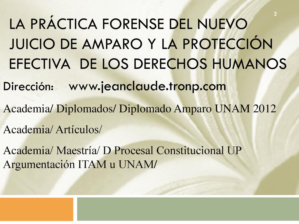 La práctica forense del nuevo juicio de amparo y la protección efectiva de los derechos humanos