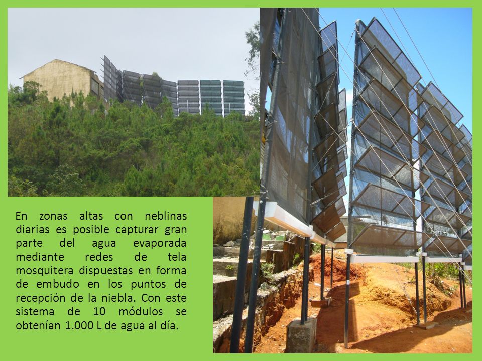 En zonas altas con neblinas diarias es posible capturar gran parte del agua evaporada mediante redes de tela mosquitera dispuestas en forma de embudo en los puntos de recepción de la niebla.