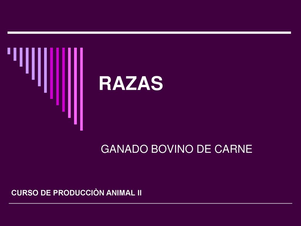 RAZAS GANADO BOVINO DE CARNE CURSO DE PRODUCCIÒN ANIMAL II