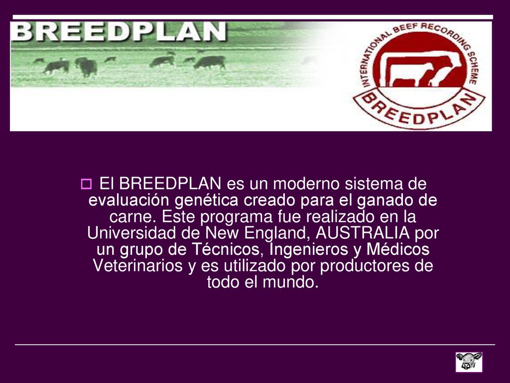 El BREEDPLAN es un moderno sistema de evaluación genética creado para el ganado de carne.